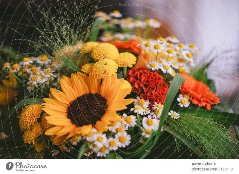 Blumenstrauß Sonnenblume Farbfoto gelb Dekoration & Verzierung Sommer Pflanze Nahaufnahme Innenaufnahme Blühend Stil Design Natur Blüte Blatt