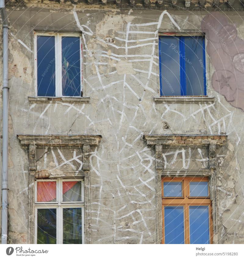 Teil einer historischen Fassade mit alten Fenstern und Spinnennetz-Malerei auf der Wand Mauerwerk Fallrohr graffiti außergewöhnlich Wohnhaus Haus Architektur