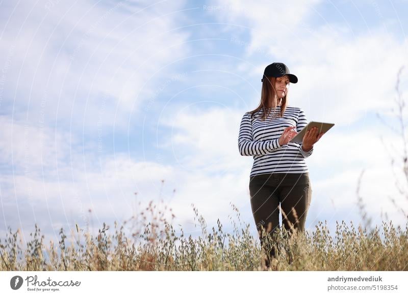 Moderne Technologien in der Landwirtschaft, Geschäftsfrau Landwirt mit Computer-Tablet in ihren Händen arbeitet in Weizenfeld, prüft Getreideernte. Landwirtschaft, Anbau von Lebensmitteln. Gesunde ökologische Lebensmittel