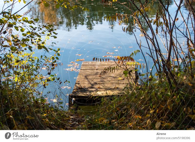 Einstieg ins Wochenende See Steg Idylle Herbst Bootssteg Schönes Wetter ruhig Wasser Erholung Seeufer Natur Sonnenlicht friedlich einsam Einsamkeit blau Teich