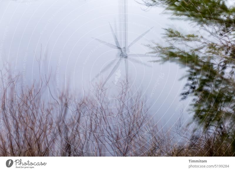 An diesem See den Gedanken freien Lauf lassen… Moorsee Blindensee geheimnisvoll mehrfachbelichtung Wasser Reflexion & Spiegelung Zweige u. Äste Windrad fantasie
