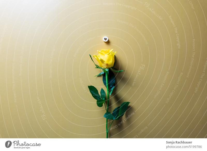 Eine gelbe Rose mit einem Herz auf einem goldenen Hintergrund. Draufsicht. herzförmig Blüte Natur Duft 1 Liebe Blume Blühend Romantik schön Farbfoto Geschenk