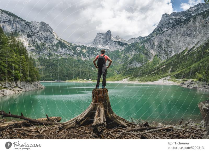 Reisender, der auf einem Baumstumpf steht und den Blick auf das Dachsteingebirge am Oberen Gosausee genießt. Gosau, Salzkammergut, Österreich, Europa Mann