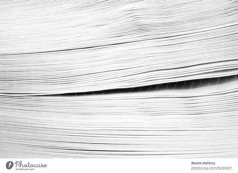 "Von der Wiege bis zur Bahre: Formulare, Formulare": Papierstapel Stapel Lücke Innenaufnahme Menschenleer Detailaufnahme Nahaufnahme Zitate abstrakt Büro