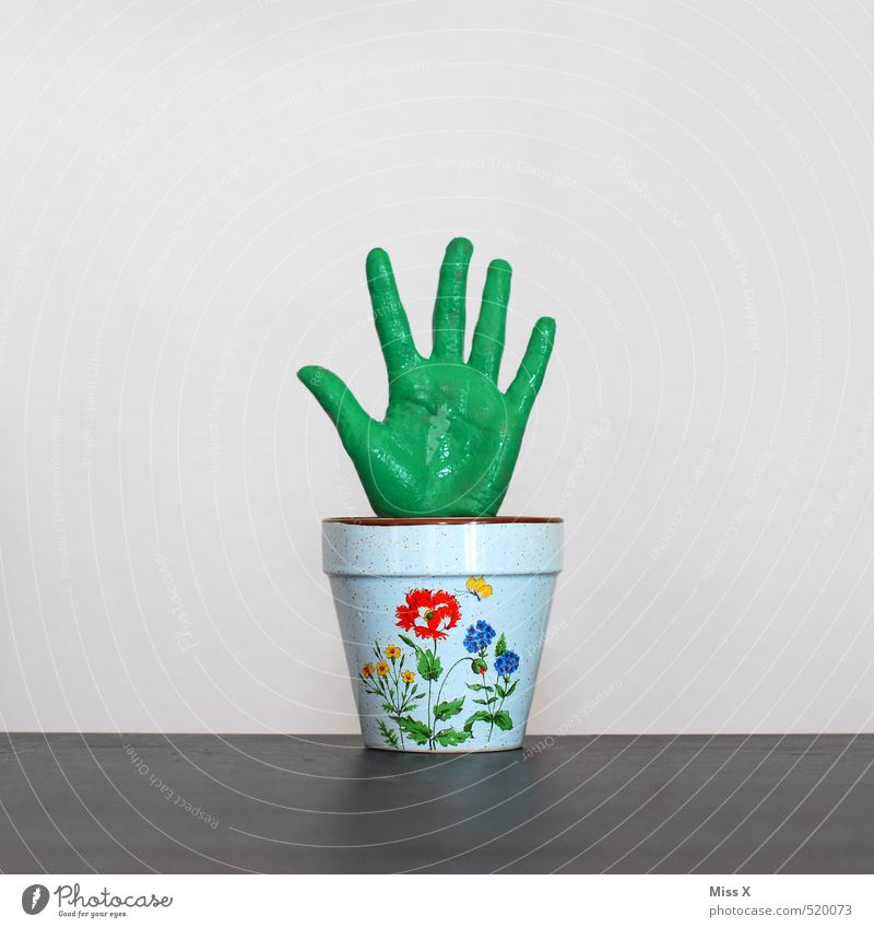 Grüner Daumen, Zeigefinger, Mittelfinger... Hand Finger Pflanze Blatt Topfpflanze exotisch Wachstum lustig grün bizarr Symbole & Metaphern Blumentopf Gärtner