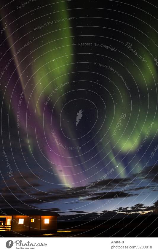 grün mit mangenta .......Aurora borealis über einem Holzhäuschen Nordlichter Polarlicht Nachtaufnahme Licht im Haus blaue Stunde Norden nordisch Naturschauspiel