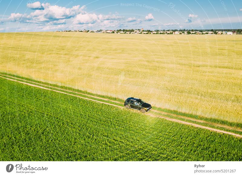 Luftaufnahme von Auto SUV geparkt in der Nähe von Landstraße im Frühjahr Feld ländliche Landschaft. Auto zwischen jungen Weizen und Maisplantage PKW 4wd oben