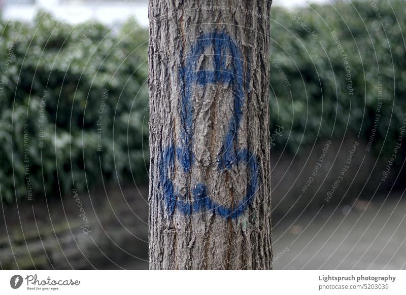Zeichnung eines erigierten Penis auf einer Baumrinde. Graffiti Herzform Anatomie Nahaufnahme Farbbild Verbrechen Ernte - Pflanze niedlich Zeichnung - Aktivität
