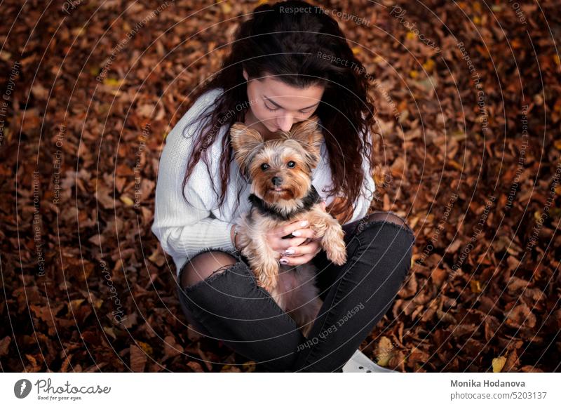 Porträt eines Mädchens mit ihrem Yorkshire-Terrier-Hund. Herbstzeit. bezaubernd Erwachsener Tier schön braun Kaukasier niedlich heimisch Gesicht Familie Frau