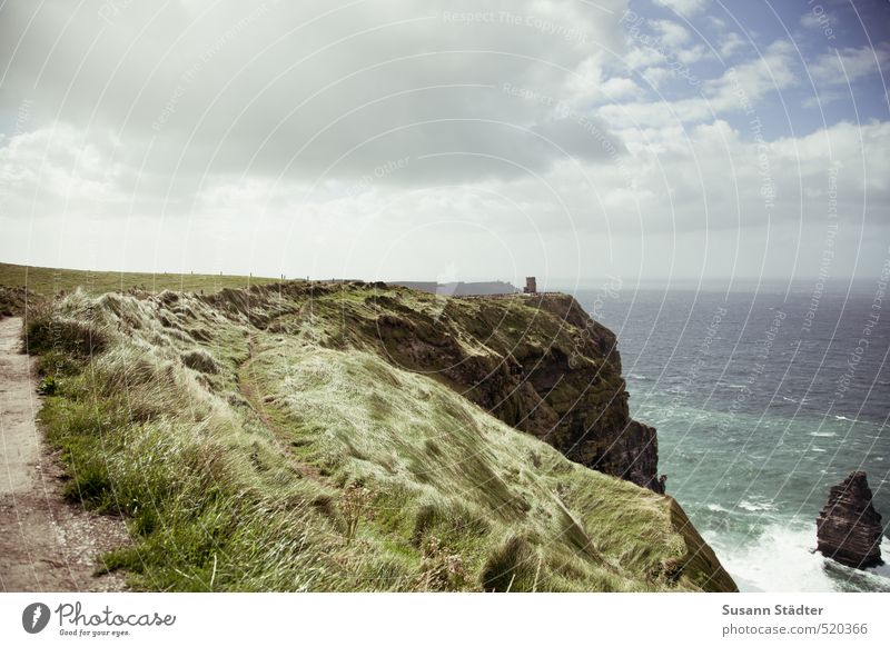 cliffs of moher Natur Landschaft Himmel Sonne Sträucher Wiese Felsen Wellen Küste Meer Insel wandern Wind Gras Cliffs of Moher Republik Irland Klippe Gischt rau