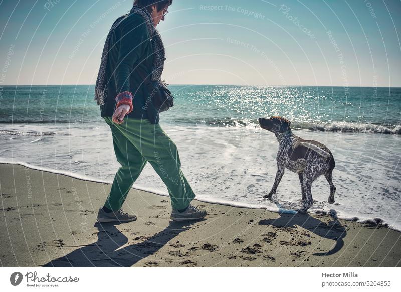 Frau spielt mit ihrem Hund am Mittelmeerstrand an einem sonnigen Tag feminin Strand Tier Außenaufnahme Tierporträt Haustier Farbfoto Tierliebe Freundschaft