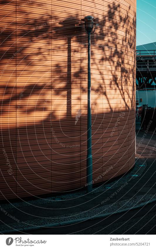 Schatten eines Baumes mit Laterne auf der gebogenen, hellbraunen Fassade eines Gebäudes gekrümmt Kurve urban Architektur Berlin Natur Stadt Linien kunstvoll