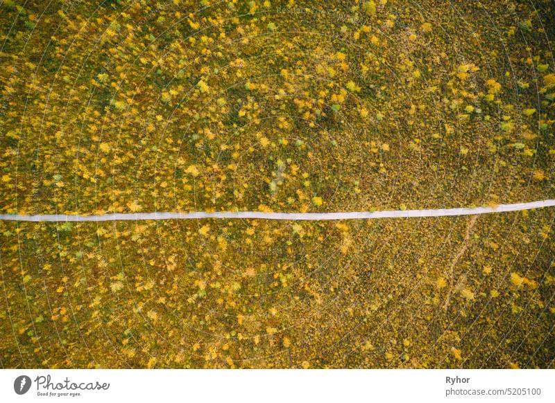 Bezirk Miory, Region Witebsk, Belarus. Der Yelnya Sumpf. Luftaufnahme von Yelnya Naturschutzgebiet Landschaft. Schmaler hölzerner Wanderweg, der sich durch den Sumpf schlängelt. Cognitive Boardwalk Trail über ein Feuchtgebiet