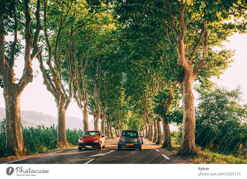 Autos fahren auf einer von Bäumen gesäumten Landstraße. Helles Sonnenlicht bei Sonnenuntergang am Abend. Autos auf dem Hintergrund der französischen Landschaft