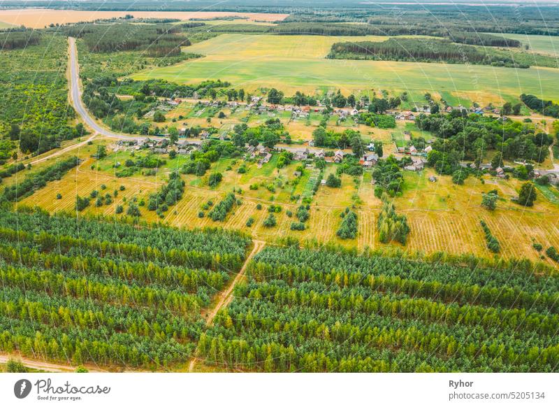 Aerial View Green Forest Abholzung Bereich Landschaft in der Nähe von Dorf. Top View of New Young Growing Forest. European Nature From High Attitude In Summer
