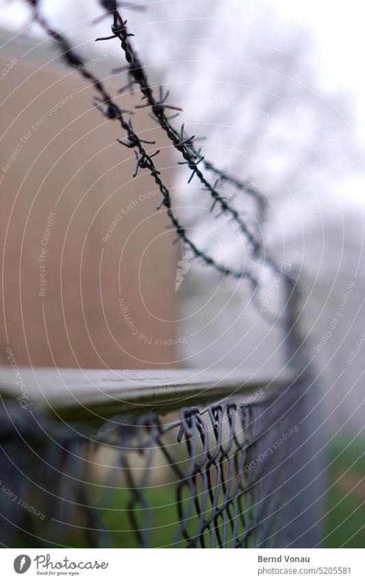 Stacheldraht mit Zaun im Nebel Maschendrahtzaun gefangen Herbst Wetter Nass trüb depressiv Unschärfe grün grau Metall schutz sicherheit nachbarschaft