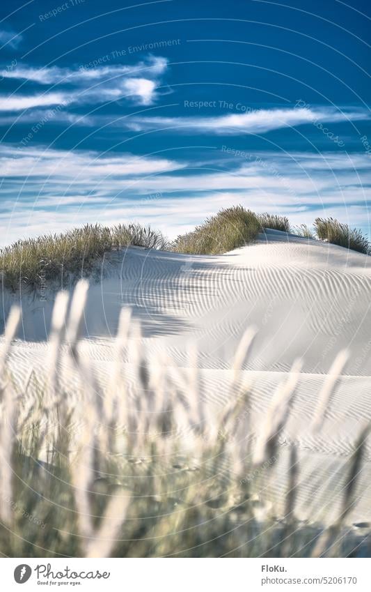 Weiße Dünen in Dänemark Strand Küste Nordsee Nordseeküste Sand Sandstrand Ferien & Urlaub & Reisen Meer Natur Himmel Landschaft Dünengras Erholung blau Wolken