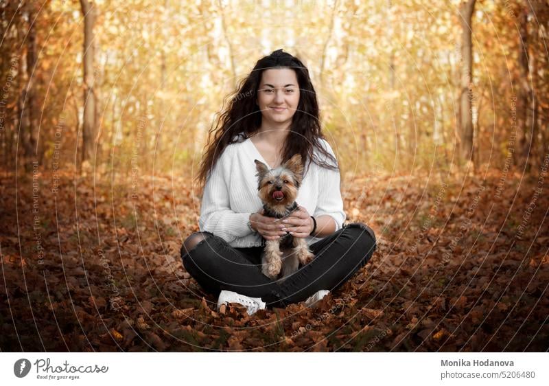 Ein Mädchen sitzt mit seiner besten Freundin im Wald. Yorkshire Terrier. Tier attraktiv Herbst schön Schönheit beste Freunde Kaukasier charmant Hund Hunde