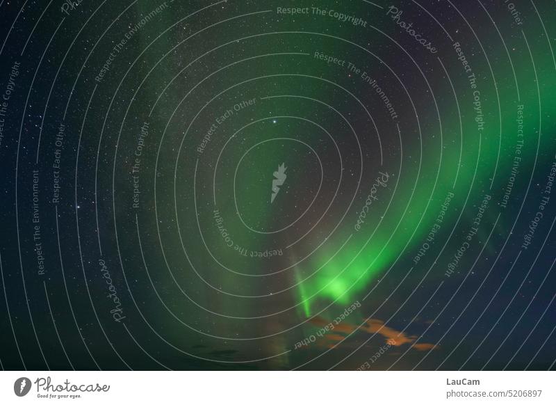 Polarlicht - Wunder der Natur Aurora borealis Nachthimmel Sternenhimmel grün faszinierend Nordlicht Himmel Islsnd Norwegen Arktis Erscheinung Naturphänomen