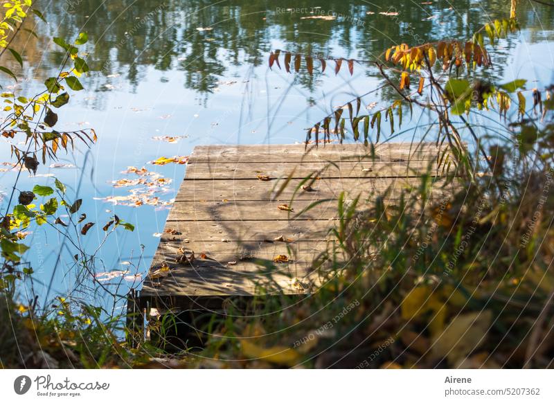 Einladung zur Erfrischung See Steg Idylle Herbst Bootssteg Schönes Wetter ruhig Wasser Erholung Seeufer Natur Sonnenlicht friedlich einsam Einsamkeit blau Teich