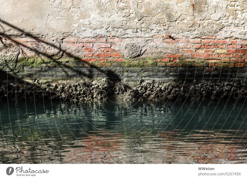 Farben und Schatten an der alten Wand eines Hauses am Kanal Wasser Ziegel Putz Muster Venedig vergänglich Altstadt Farbfoto Nahaufnahme Hintergrund