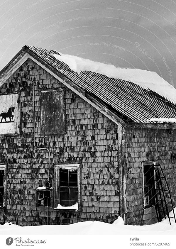 Alte Scheune im Winter kalt rustikal Pferd Stimmung Holz Außenaufnahme Baracke Gebäude Schnee