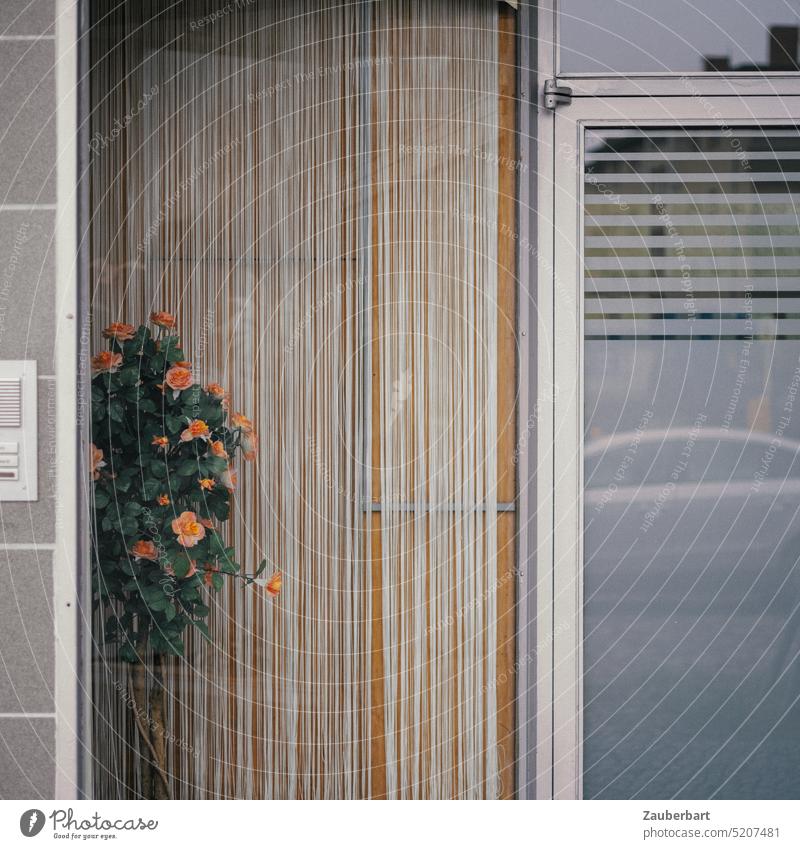 Schaufenster mit Rosenstrauß und gestreiftem Vorhang als Teil eines geometrischen Fassaden-Ensembles Strauß Blumen schlicht vergeblich Deko Dekoration