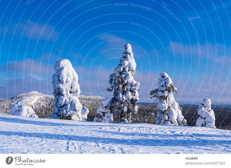 Landschaft mit Schnee im Winter in Ruka, Finnland Kuusamo Natur Baum Wald Berg Idylle Wintersportzentrum Nordösterbotten Koillismaa Lappland Rukatunturi Fjell