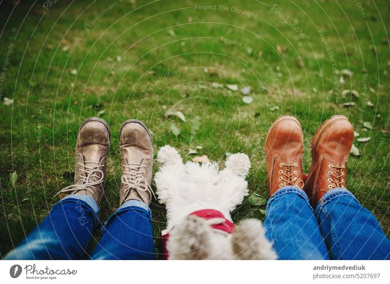 Hund und Paar im grünen Gras mit Blättern. Fokus auf die Füße. Menschen entspannen sich nach einem Spaziergang. Platz für Inschrift Tier Eckzahn lässig niedlich