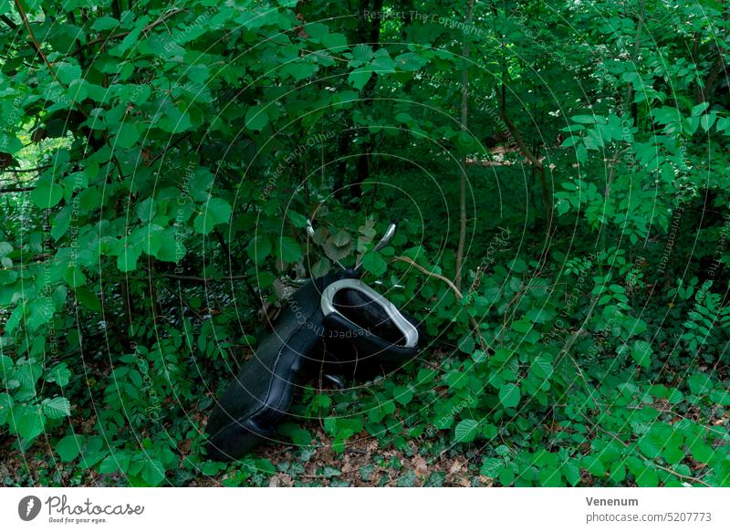 Verschmutzung, illegal entsorgter schwarzer Bürodrehstuhl in einem Wald Baum Bäume Wälder Deutschland Umweltverschmutzung Umweltsünder Dreckspatz Flytipper