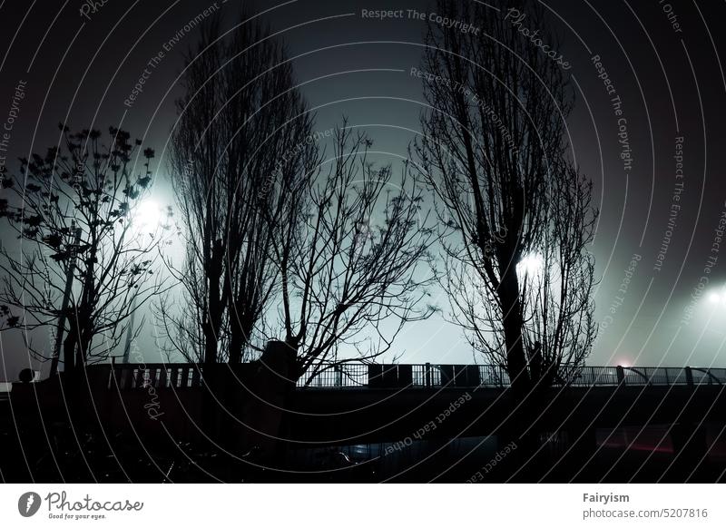 Silhouetten von Bäumen in der staubigen nächtlichen Stadt Urbanität städtisches Leben urban Licht & Schatten Lichterscheinung Bildende Kunst Nachtstimmung