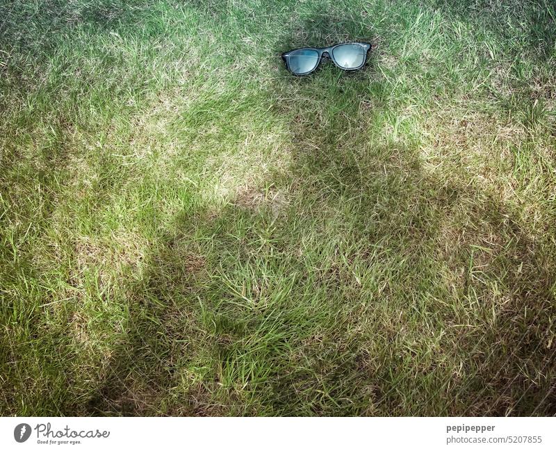 Angebersonnenbrille – auf dem Rasen liegende Sonnenbrille Mann Sonnenbrillen sonnenbrillenmodel Sommer Mensch Ferien & Urlaub & Reisen Cool Schatten