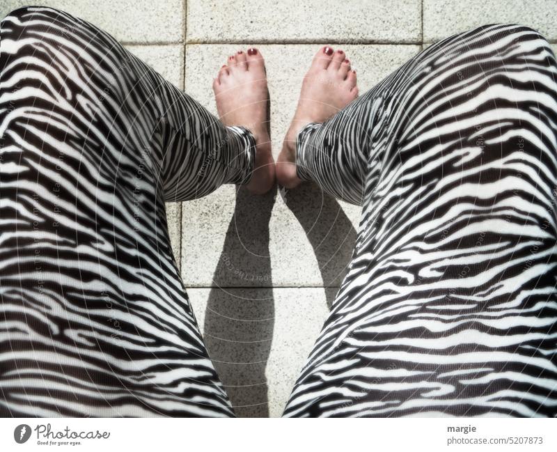 Frauenbeine mit Zebra Muster Beine feminin Fuß Barfuß Zebrastreifen zebramuster Legings Mensch Schatten Hose Strumpfhose Erwachsene sitzen Füße zusammen
