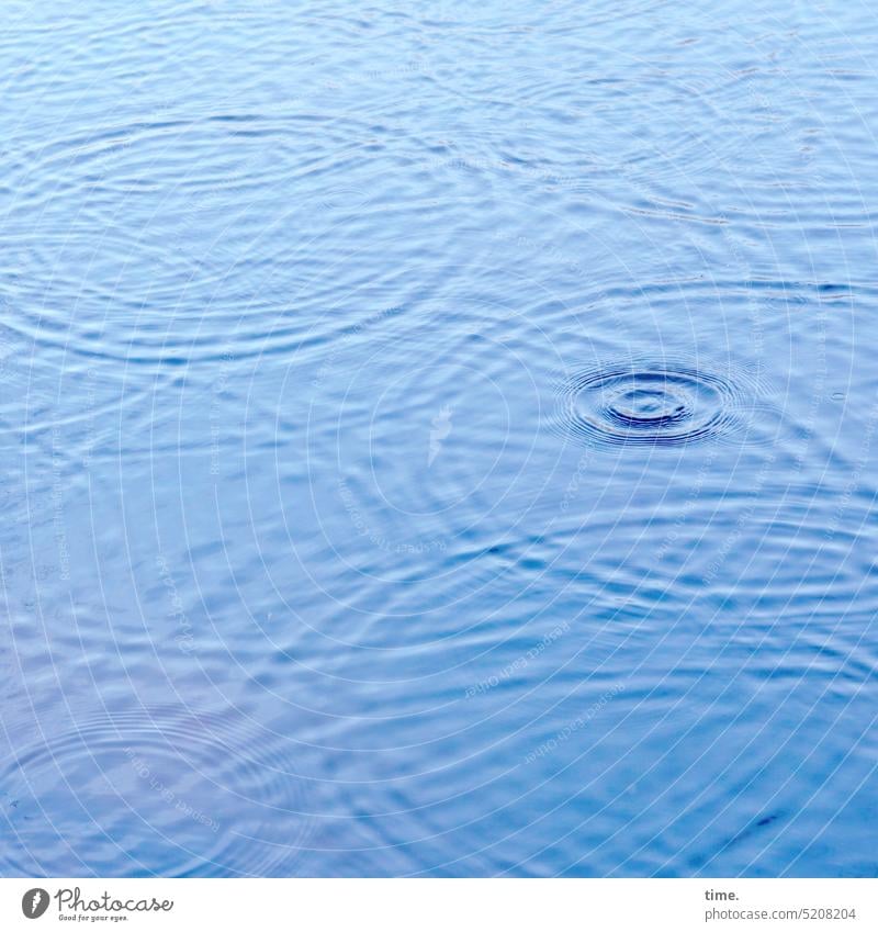 Schneeschmelze | Lebenslinien .161 Tropfen See Ringe Aufprall blau konzentrisch Phänomen Physik Oberflächenspannung Wasseroberfläche Wassertropfen nass Natur
