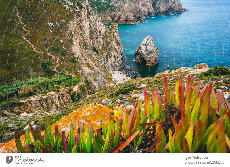 Cabo da Roca ist der äußerste Punkt von Europa. Versteckter Strand mit Felsen, blauem, klarem Wasser und Laub. Atlantischer Ozean, Sintra, Portugal extrem