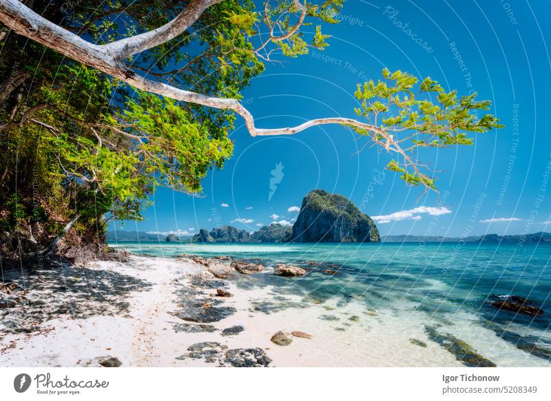 Wunderschöne exotische Natur des Südens beeindruckende epische tropische Inseln, Philippinen, Palawan palawan Urlaub Schönheit Strand blau Küstenlinie idyllisch