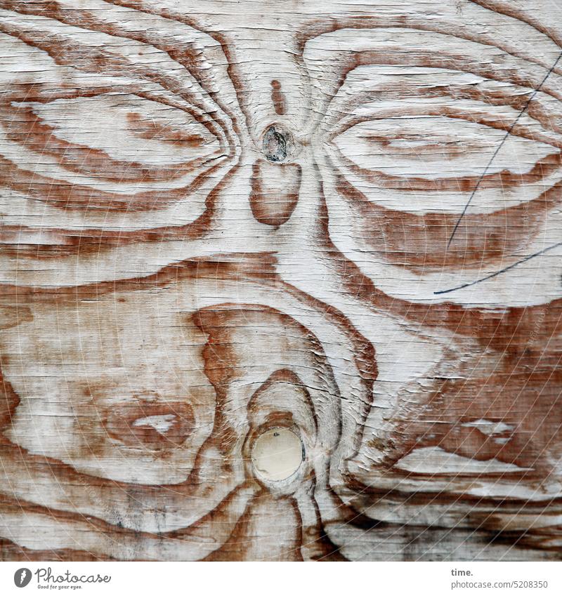 Bildstörung | Griesgram Holz Maserung Struktur alt Gesicht Phantasie Sperrholz Bauholz Baustelle Abdichtung sichtdicht blickdicht Oberfläche Textur verwittert