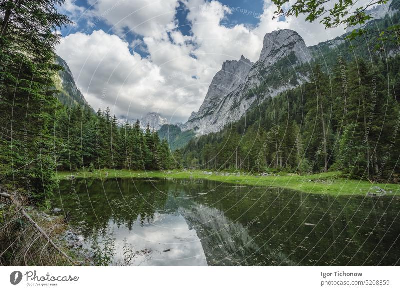 Gosausee und Dachsteingipfelgebirge mit sichtbarem Gletschereis im Sommer, Oberösterreich, Europa Berge u. Gebirge Eis Landschaft Österreich reisen Natur