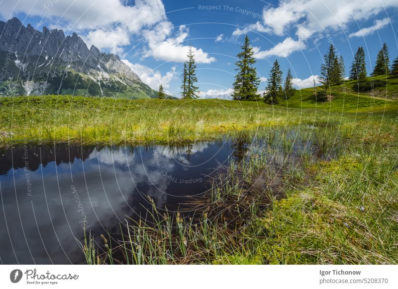 Bergteich mit Wilder-Kaiser-Gebirge, das sich im Teich spiegelt, Tirol - Österreich kaiser wilder Berge Berge u. Gebirge Nachlauf Landschaft ellmau Europa