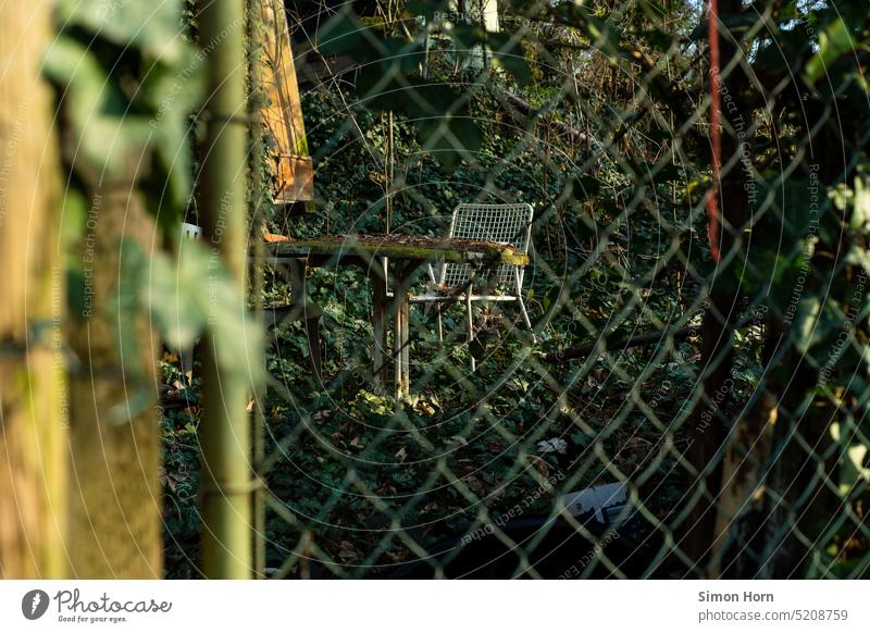 verwilderter Garten hinter Zaun zugewachsen Stuhl Renaturierung eingezäunt verwahrlost Wildwuchs bewachsen abgeschlossen Biotop Wachstum Umwelt Natur Moos