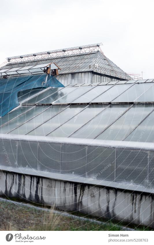 Gewächshaus anbauen Glashaus Landwirtschaft Gemüse Ernährung Lebensmittel Wachstum zerbrechlich Glasfassade Gartenarbeit undurchsichtig botanisch