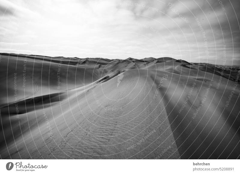 endlosigkeit stille sanft samtig weich Düne Dünen sanddüne traumhaft magisch Wärme Walvisbay Swakopmund besonders beeindruckend Himmel Landschaft Ferne Dürre