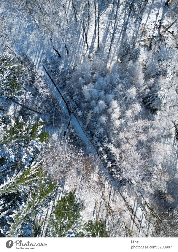 Waldbaden im Schnee Winter Schafe Frost Vogelperspektive kalt Natur Winterlandschaft Kälte