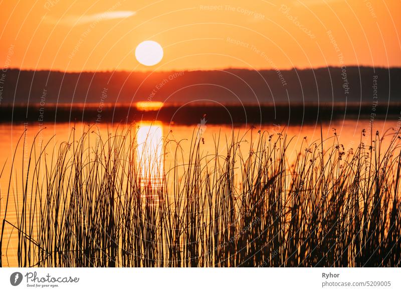 Sonnenuntergang über dem See-Fluss-Horizont bei Sonnenuntergang. Natürliche Himmel in warmen Farben Wasser. Sonne Wasser hintergrundbeleuchtet Glanz Silhouette