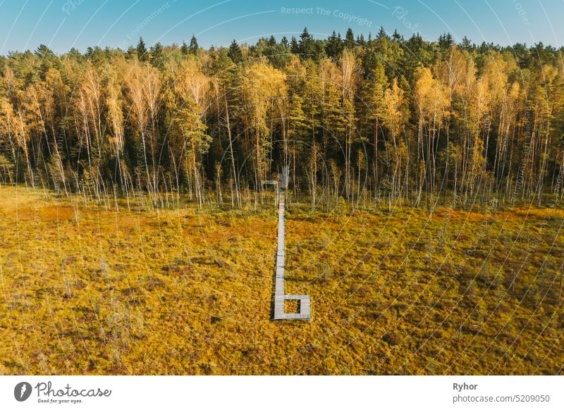 Weißrussland, Berezinsky Biosphärenreservat. Vogelperspektive der hölzernen Weg Weg von Sumpf Sumpf zu Wald im Herbst sonnigen Tag. Rundblick Europa