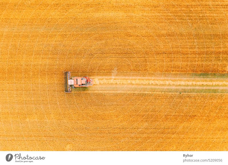 Luftaufnahme Mähdrescher arbeiten im Feld. Ernte von Weizen in der Sommersaison. Landwirtschaftliche Maschinen Sammeln von Weizen-Samen Erntemaschine Antenne