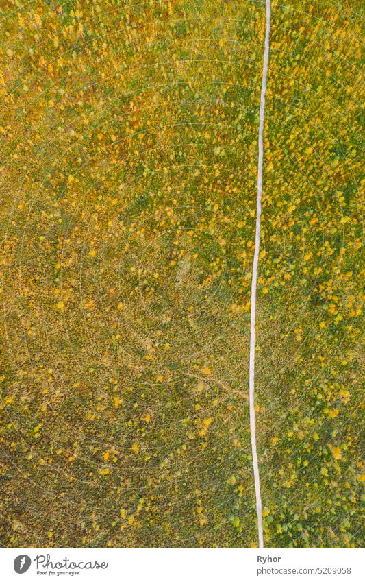 Bezirk Miory, Region Witebsk, Belarus. Der Yelnya Sumpf. Luftaufnahme von Yelnya Naturschutzgebiet Landschaft. Schmaler hölzerner Wanderweg, der sich durch den Sumpf schlängelt. Cognitive Boardwalk Trail über ein Feuchtgebiet