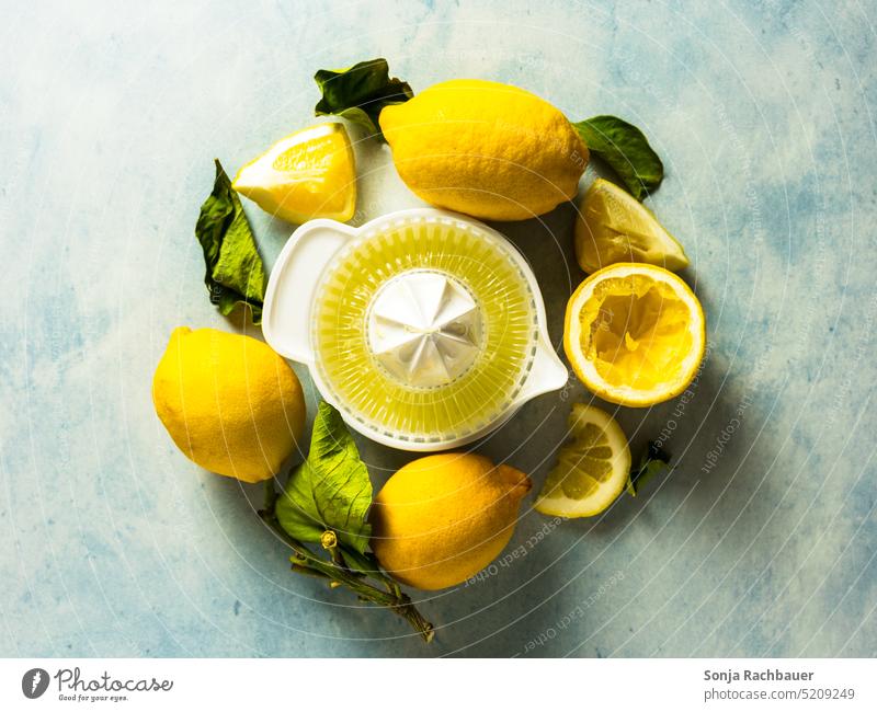 Frische Zitronen und eine Saftpresse im Kreis. Draufsicht. Zitrusfrüchte gelb Frucht frisch sauer Vitamin Gesundheit Vitamin C Ernährung Farbfoto