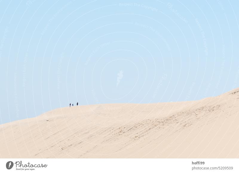 drei Menschen wandern auf einer Düne bei wolkenlosem Himmel Expedition Dürre Wüste heiß Wärme Sonne Sommer Landschaft Sand Sonnenlicht Panorama (Aussicht)