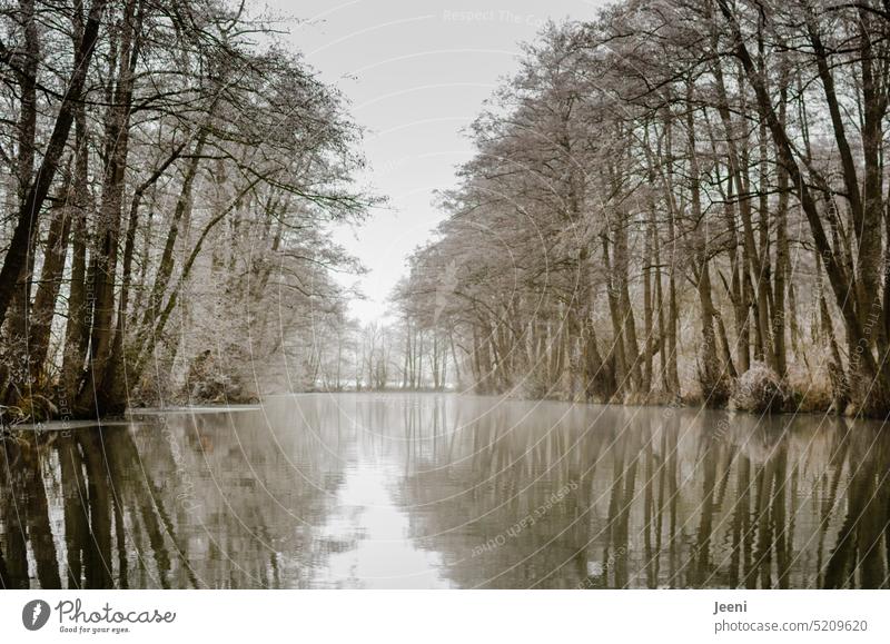 Stille Wasser… frostig Winterstimmung Wald Idylle Natur kalt Frost Ruhe natürlich unberührt geheimnisvoll Kälte Jahreszeiten Kanuwandern Fluss See